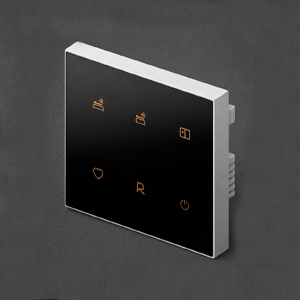 Nature Switch Scene Panel (6 Key)(Black AG Glass – White 3 way)